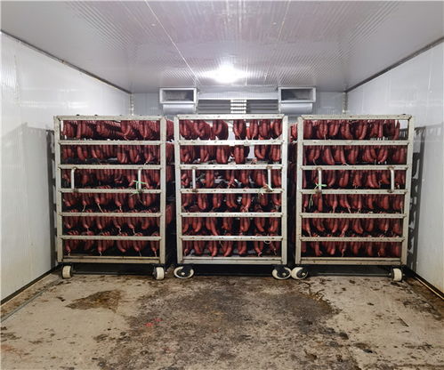 上海枸杞干燥机销售商与木耳干燥机规格技术咨询指南