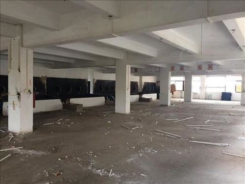 丹东市厂房承重安全检测 第三方咨询单位助力安全生产与技术咨询解读