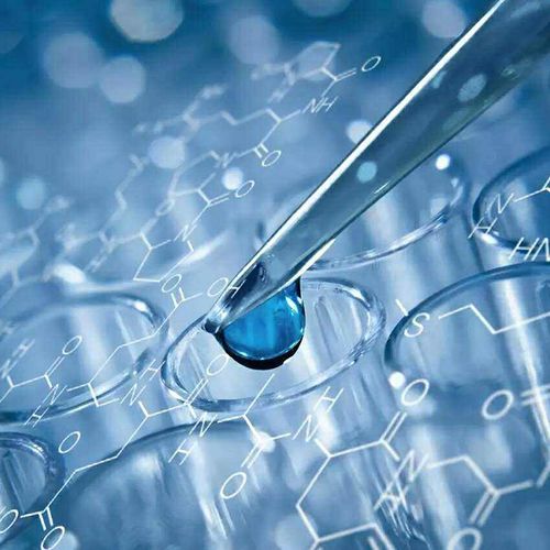 亲子鉴定为出国留学保驾护航 技术咨询全解析