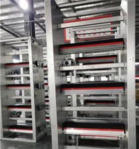 携手创新，智赢未来 自动化蛋鸡养殖设备技术咨询与生产合作指南